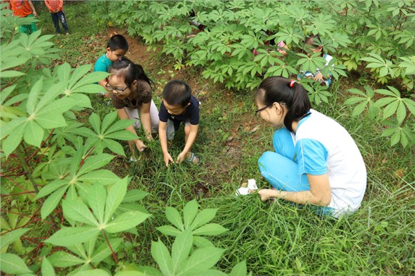 Vườn rau của bé